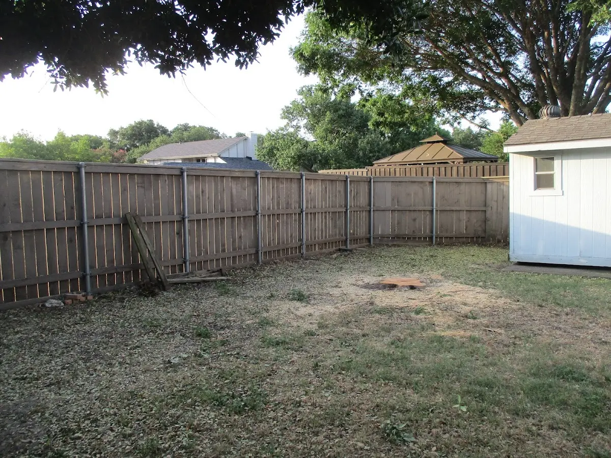 Cleared yard after professional tree removal in East Otis
