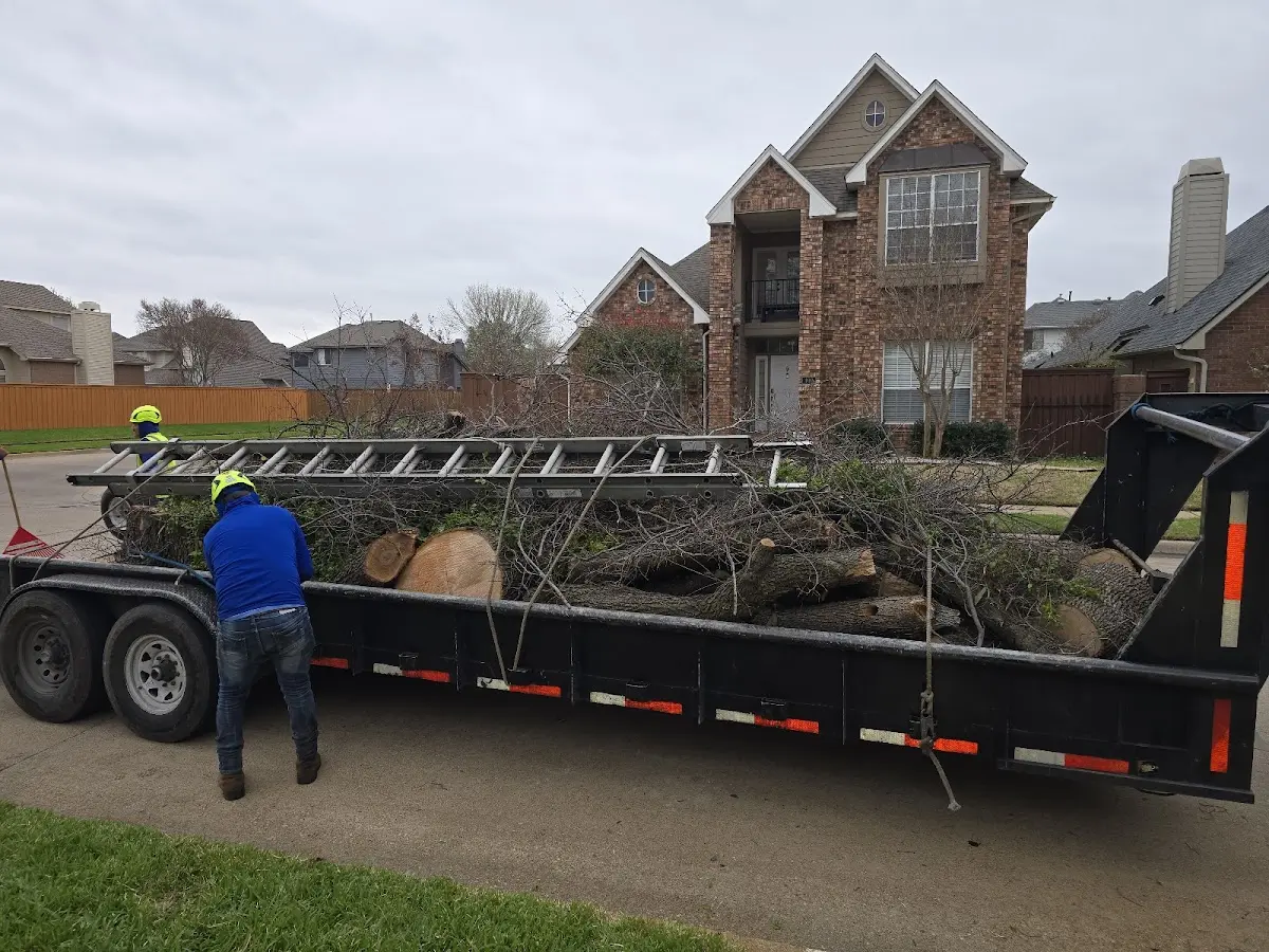 Expert Tree Fertilization with proper safety equipment in East Otis